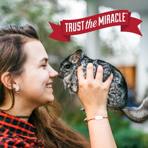 Nature's Miracle Convenient Small Animal Cage Scrubbing and Deodorizing Wipes