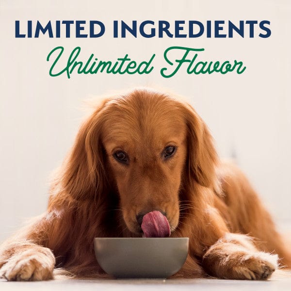 High - Quality Natural Balance Canned Dog Food with Limited Ingredient Lamb and Brown Rice Recipe