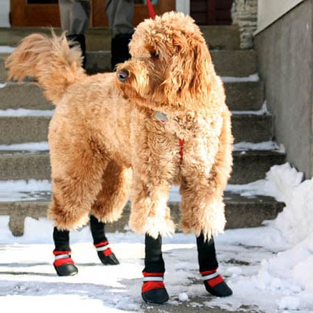 High - Quality Fleece - Lined Dog Boots by Muttluks