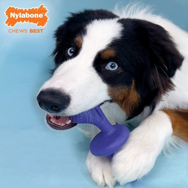 Nylabone Durable Power Chew Interactive Rolling Dog Toy for Medium-Sized Dogs