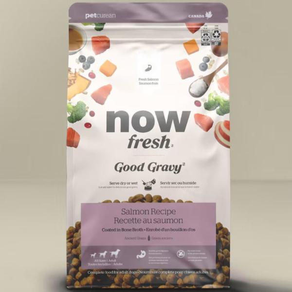 Now Fresh Premium Adult Dry Dog Food with Good Gravy Salmon Recipe