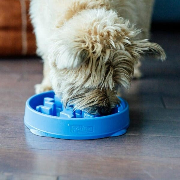 Outward Hound Innovative Fun Feeder Slo - Bowl for Slow - Eating Dogs