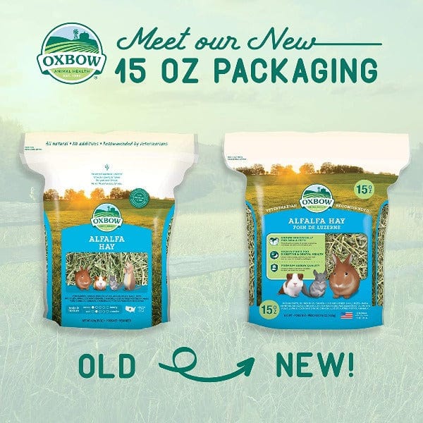 Oxbow Premium Alfalfa Hay for Small Pets, High in Fiber and Protein