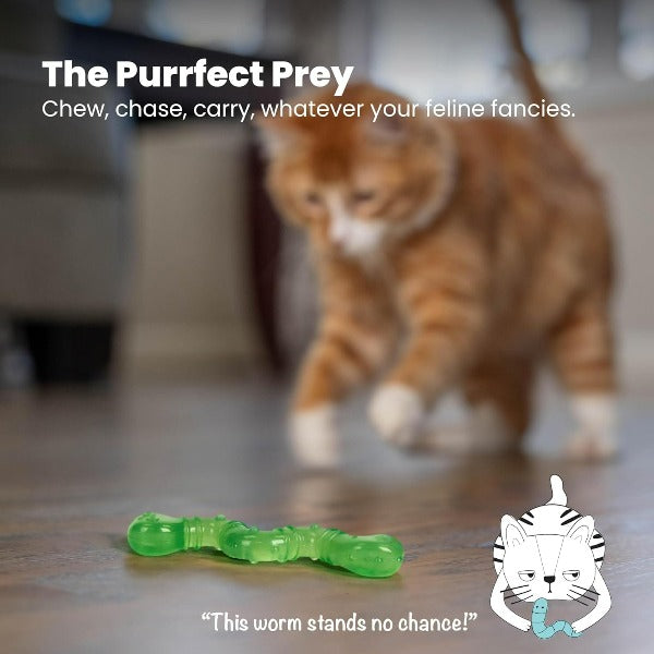 Petstages Orkakat Wiggle Worm: Durable, Catnip - Infused Dental Cat Toy