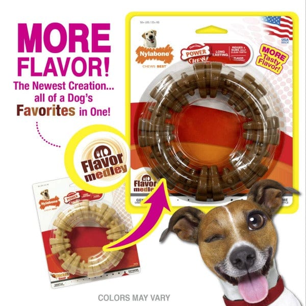Nylabone Durable Textured Power Chew Ring Toy for Aggressive Dog Chewers