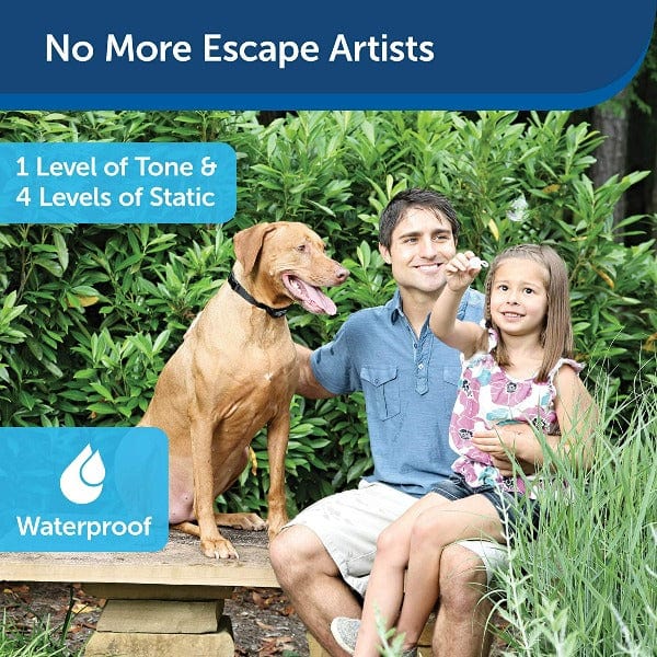 PetSafe Rechargeable In - Ground Fence Receiver Collar for Comfortable Pet Use