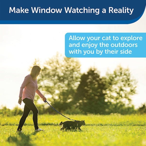 PetSafe Come With Me Cat Harness and Bungee Leash - An Ideal Walking Gear for Felines