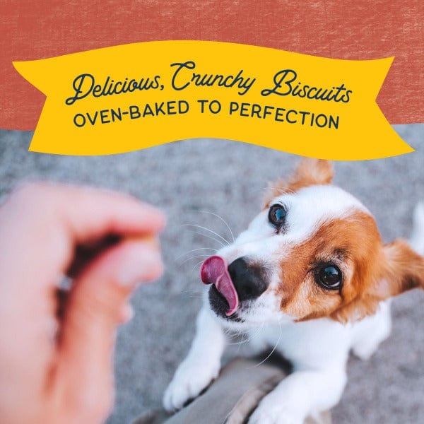 Natural Balance Small Breed Dog Treats - Crunchy Biscuits Featuring Real Salmon, 8 Ounce Package