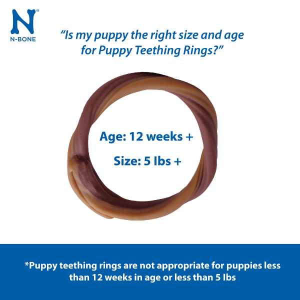 N-Bone Grain-Free Puppy Chew Teething Rings in Blueberry & BBQ Flavors