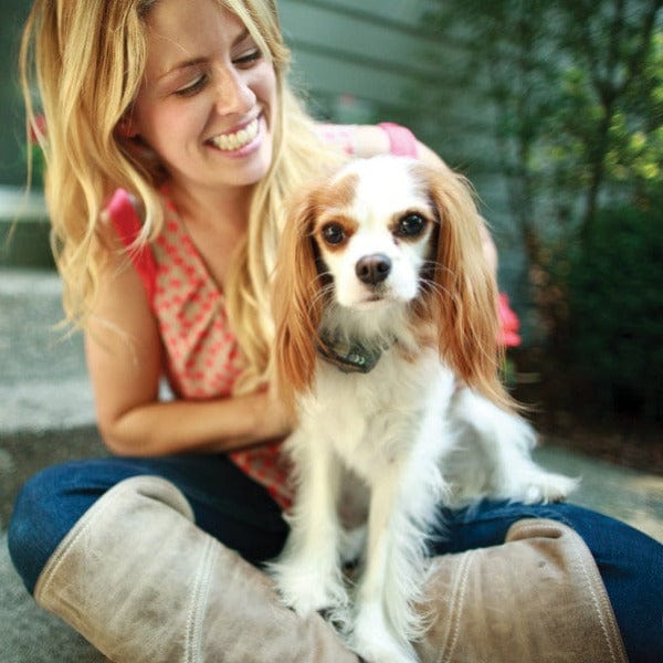 PetSafe Deluxe In - Ground Fence System for Small Dogs