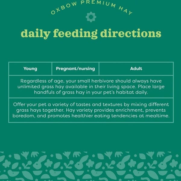 Oxbow Premium Orchard Grass Hay for Small Pets