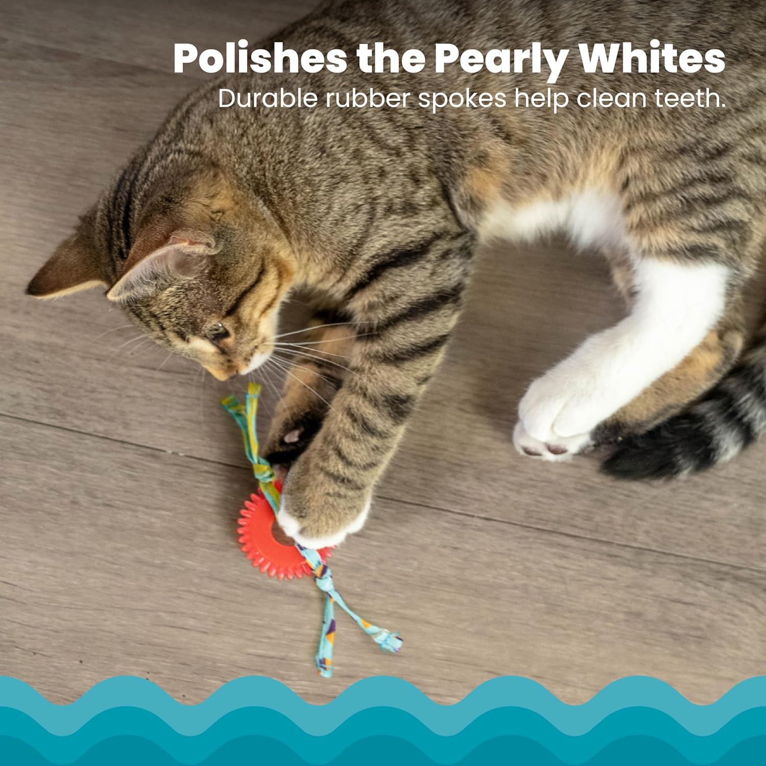 Petstages Interactive Dental Kitty Chew Wheel Cat Toy for Chewing Enthusiast Felines