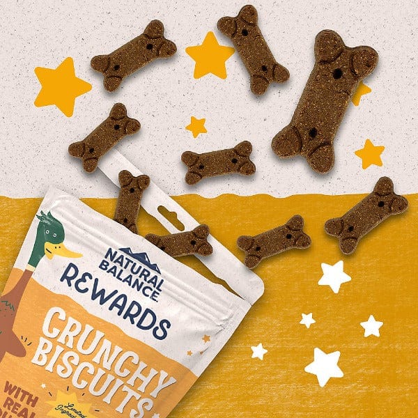 Natural Balance Oven-Baked Crunchy Dog Biscuits Featuring a Real Duck Recipe, 14 Ounce Package