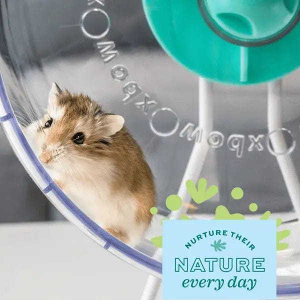 Oxbow Enriched Life 2-in-1 Ultra Quiet Runner for Pets