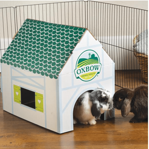 Oxbow Enriched Life - Cozy Hideaway Dream Cottage for Small Pets