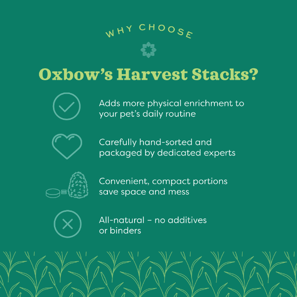 Oxbow Western Timothy Harvest Stacks Infused with Calming Chamomile