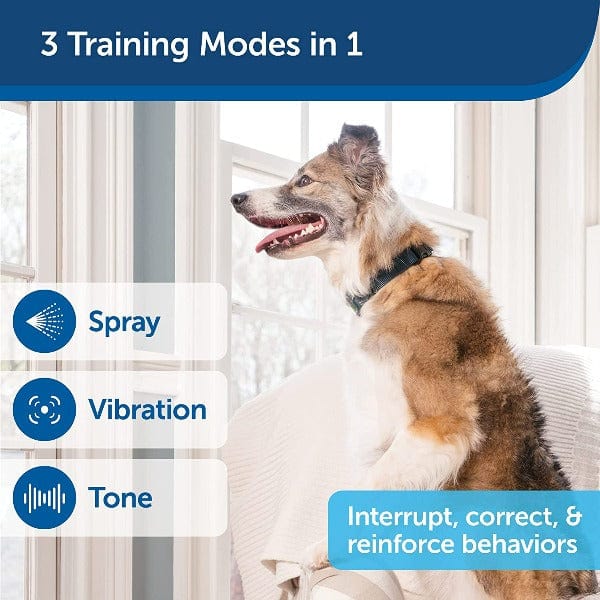 PetSafe 300 - Metre Long - Range Remote Spray Dog Training Device