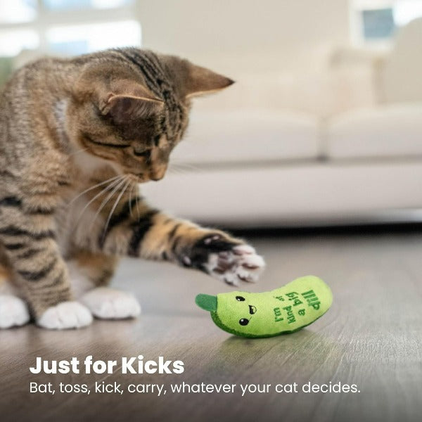 Petstages Interactive Crunchy Pickle Cat Toy with Premium Catnip