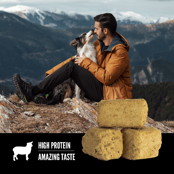 Orijen Freeze-Dried Lamb Recipe Dog Treats: Nutritious & Delicious