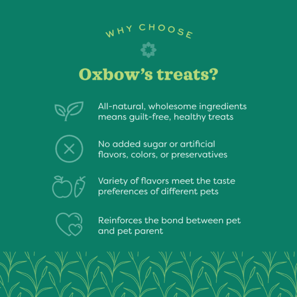Oxbow All - Natural Baked Treats with Apple & Banana for Small Pets