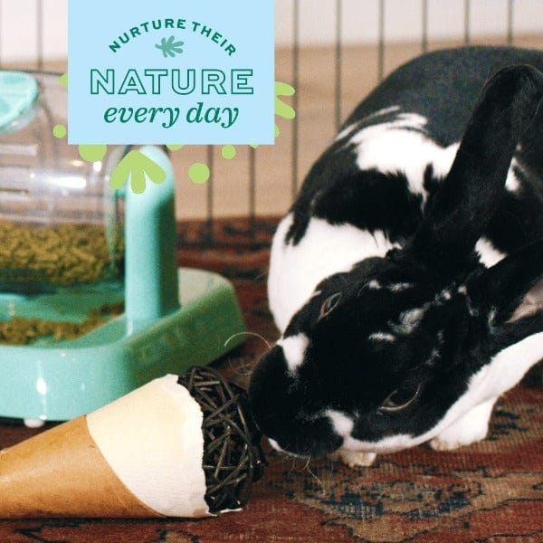 Oxbow Enriched Life - Festive Celebration Cone for Pets