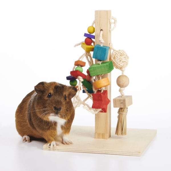 Oxbow Enriched Life Pet Play Post - An Ideal Enrichment Toy for Small Pets