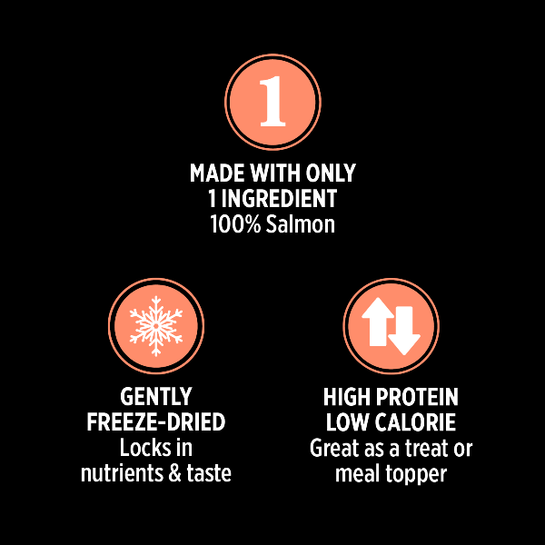 Nutrience Freshly Freeze-Dried Salmon Treats for Cats