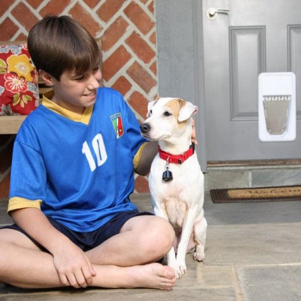 PetSafe Electronic Smart Key Collar Key for Pet Doors - Ideal for Multiple Pets