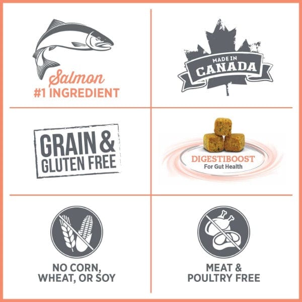Nutrience Care+ Hypoallergenic Dry Cat Food for Sensitive Skin and Stomach
