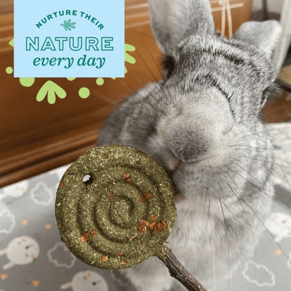 Oxbow Enriched Life - High - Fiber Timothy Orange Slice Treat for Pets
