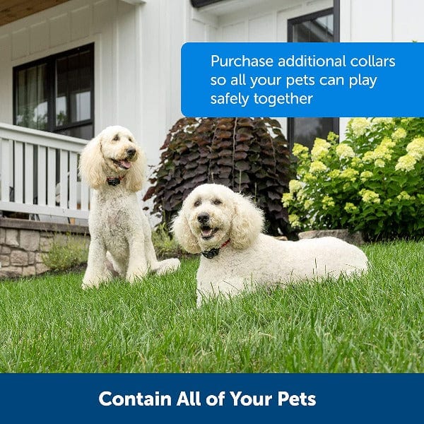 PetSafe Wireless Pet Containment System for Yard Safety