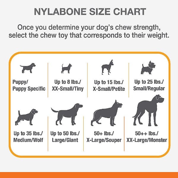 Nylabone Durable DuraChew Bacon-Flavored Dog Bone for Aggressive Chewers