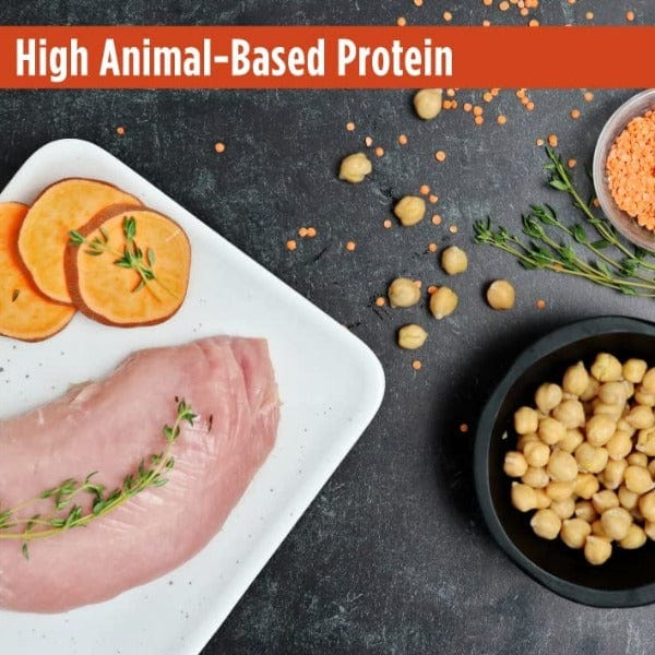 Nulo Freestyle Grain - Free Dry Dog Food for Adult Dogs with Turkey & Sweet Potato Recipe