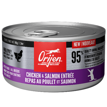 Orijen Premium 3oz Canned Kitten Food with Chicken & Salmon