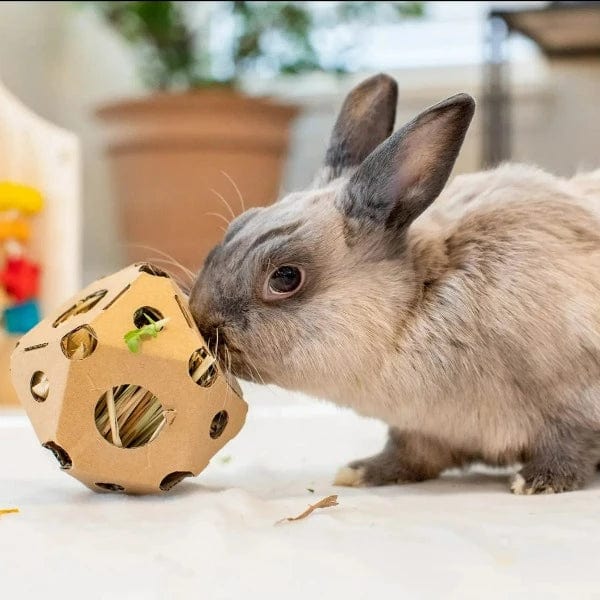 Oxbow Enriched Life Interactive Pet Toy - Tumble 'N Toss