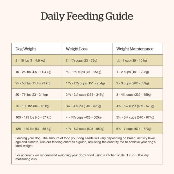Now Fresh Premium Good Gravy Chicken Recipe Adult Dry Dog Food for Canine Companions