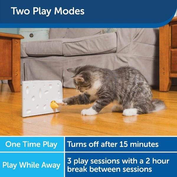 PetSafe FroliCat Interactive Automatic Cat Toy - Cheese Design for Cat Hunting Fun
