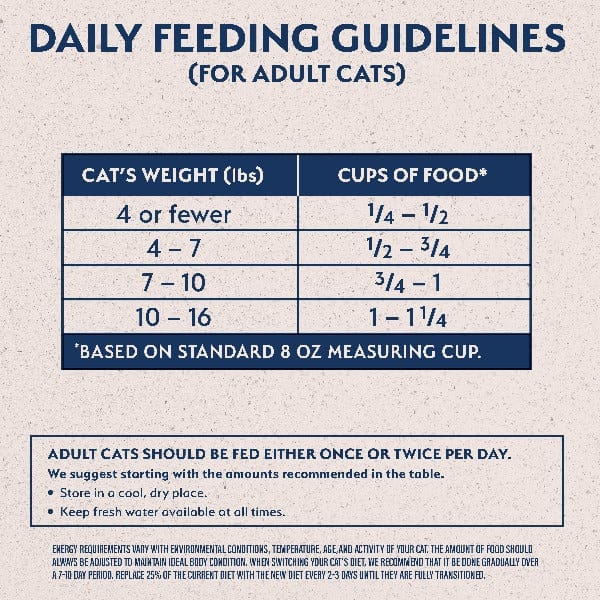 High - Quality Natural Balance Limited Ingredient Grain - Free Dry Cat Food with Salmon and Green Peas for Adult Cats