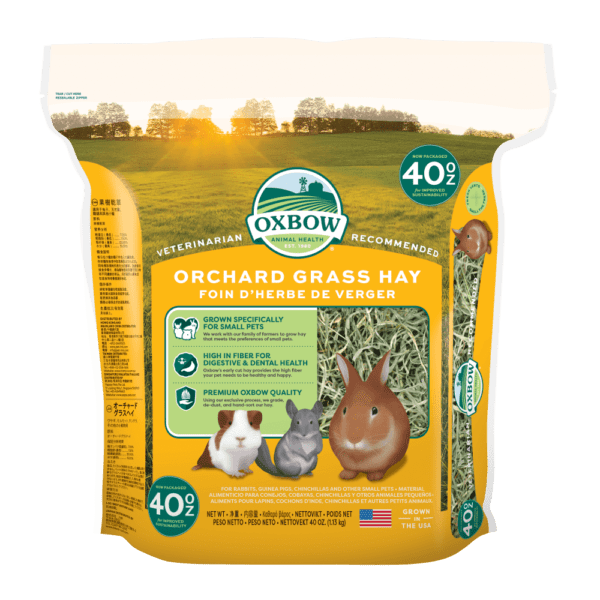 Oxbow Premium Orchard Grass Hay for Small Pets