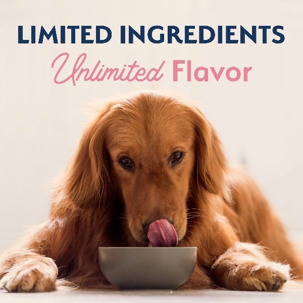 High - Quality Natural Balance Limited Ingredient Formula Dry Dog Food with Salmon and Brown Rice, 24lb Bag