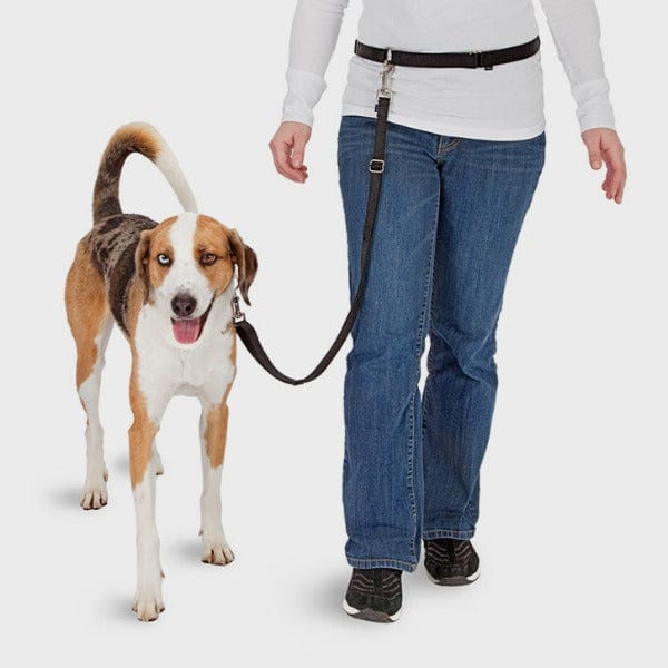 PetSafe Hands-Free Dog Walking Leash for Ultimate Convenience