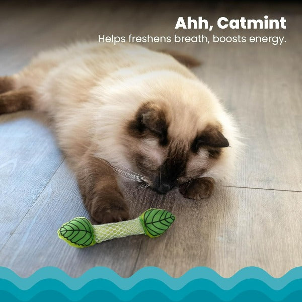 Petstages Natural Mint-Filled Cat Toy for Fresh Breath and Dental Care