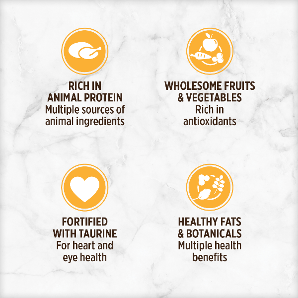 Nutrience Grain-Free Canned Cat Food: Turkey, Chicken & Liver Pate