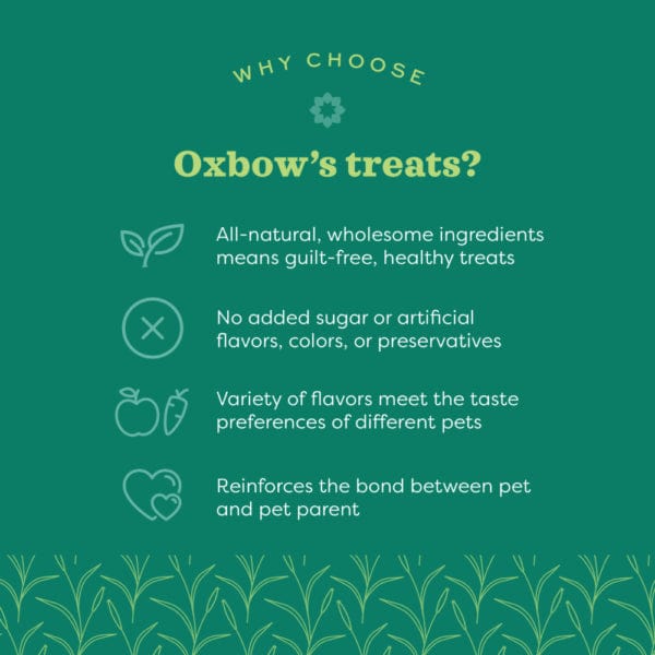 Oxbow Organic Barley Biscuits - Healthy Treats for Small Pets