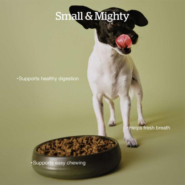 Now Fresh Chicken Recipe Small Breed Adult Dry Dog Food with Good Gravy