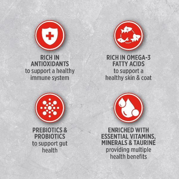 Nutrience Infusion Premium Dry Dog Food - Healthy Adult Beef Recipe