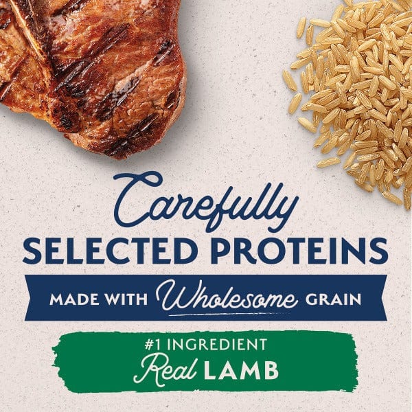 Natural Balance Dry Dog Food: Limited Ingredient Lamb & Brown Rice for Adults