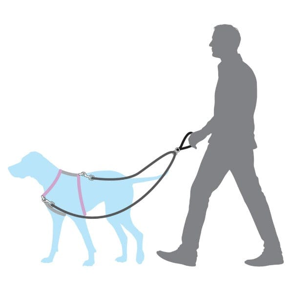 PetSafe Anti-Pulling Dog Leash for Enhanced Control with 3 in 1 Harness and Car Restraint
