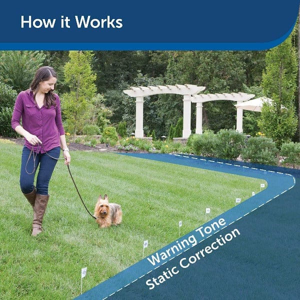 PetSafe Add - on Receiver Collar for Stubborn Dogs