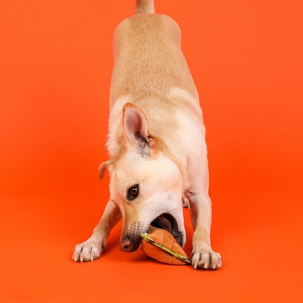 Outward Hound Xtreme Seamz Durable Small Dog Chew and Cuddle Toy